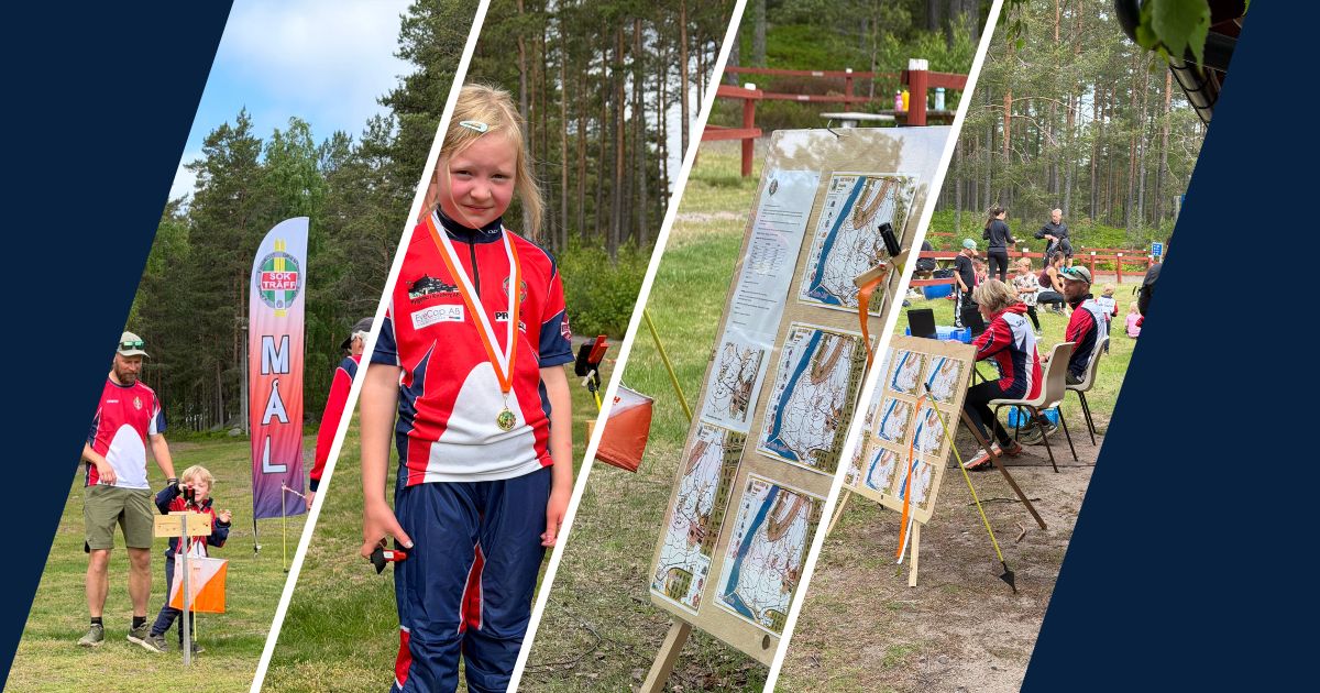 https://www.soktraff.se//explorer/images/Namnlo%CC%88s%20design.jpg